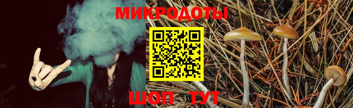 Галлюциногенные грибы Psilocybine cubensis  Вход с VPN  Фрязино  Галлюциногенные грибы Magic Shrooms 